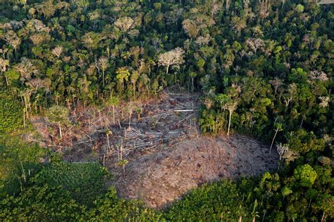 desmatamento na amazonia 2023